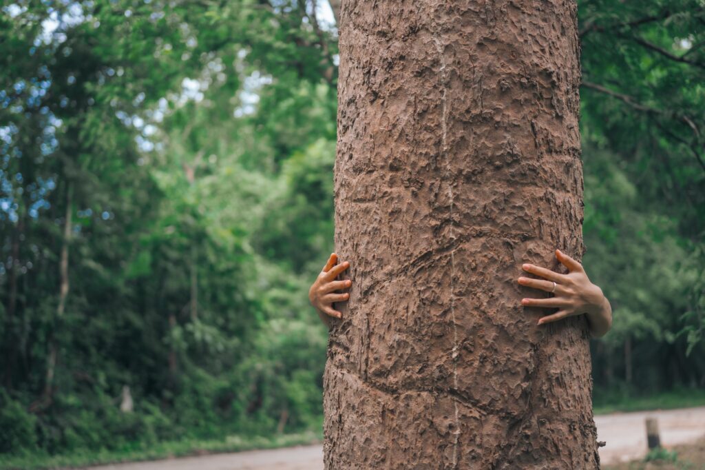 A male hand hugs a tree, symbolizing love for nature and the environment. This act represents
